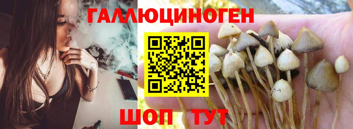 Псилоцибиновые грибы Magic Shrooms  Вход с VPN  Псилоцибиновые грибы Psilocybine cubensis  Тайшет 